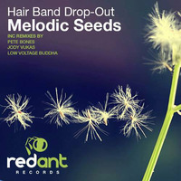 Hair Band Drop-Out - Melodic Seeds (Snippets of all the mixes included on EP) by Hair Band Drop-Out