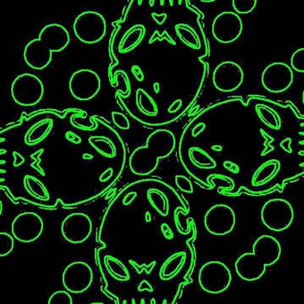 Xoc Dica @ Evo Goa Records