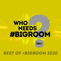 Best of #BigRoom 2020 - Special Episode [Free Download] by EDM Lab
