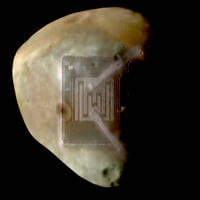 Lithium Industries - Deimos by John Lithium