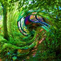 Agrostides by Gérard Delassus