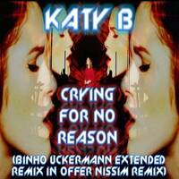 Katy B - Crying For No Reason (Binho Uckermann Extended Edit Remix in Offer Nissim Remix) by Binho Uckermann