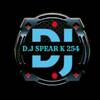 DJ SPEAR K 254
