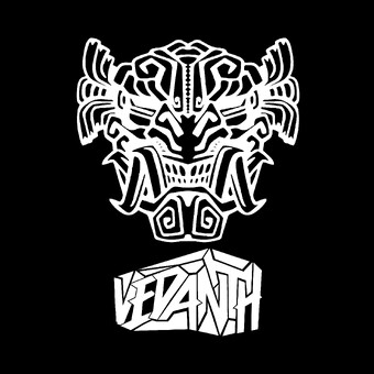 The Vedanth