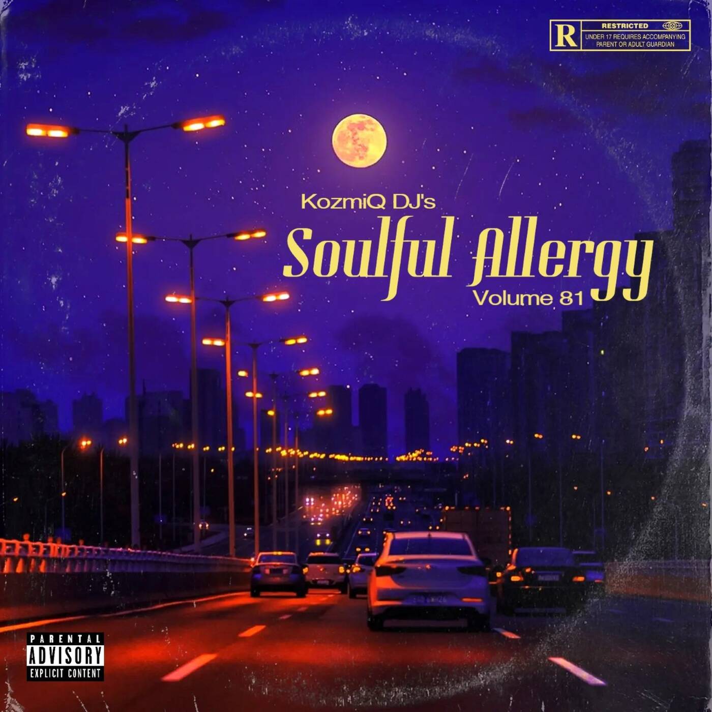 Soulful Allergy Vol.81 (Road to DBN Live Mix) Soulful Allergy Vol.81 (Road to DBN Live Mix)