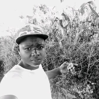 D&ocirc;lph M&ucirc;r&aring;st&ecirc;r