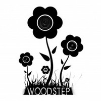 Woodstep vol 1 by ChrisVoss