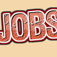 Jobs (Wildtierpflegerin Züri Zoo) by Virginia Gomez