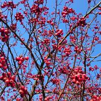 Ingo Sänger @ November 2015 by Ingo Sänger