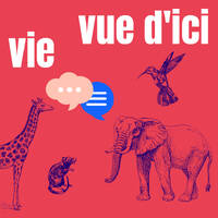 2022-12-08 LA VIE VUE D'ICI #2 Cultivons la confiance, violences faites aux femmes by RDB (rdbfm)