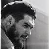 Guevara Tom