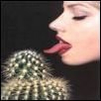 Bodo Klaus  " KAKTUS"