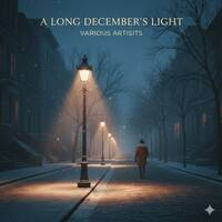 A LONG DECEMBER'S LIGHT by ron anderson