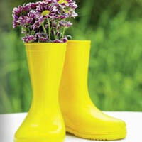 Ein bunter Strauss guter Laune und Techno by SofortRente