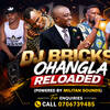 DJ bricks 254