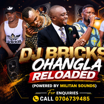 DJ bricks 254