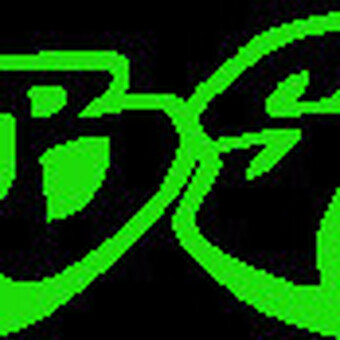Bs13