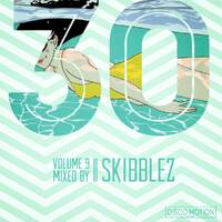 Thirty Vol. 9 (Mixed by Skibblez) by Disco Motion Records