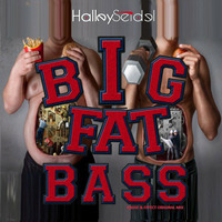 Halley Seidel - Big Fat Bass (Cause & Effect Original Mix) ''Demo preview - No Label'' by Halley Seidel - BR/RJ