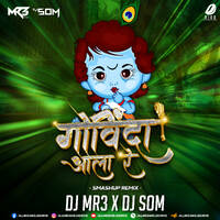 Govinda Aala Re (Smashup) - DJ MR3 &amp; DJ SOM by All Indian DJs Drive