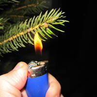 Burning Christmas Tree by ERROR.WTF