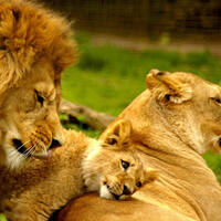 Vj59 house mixtape by dj fifty9