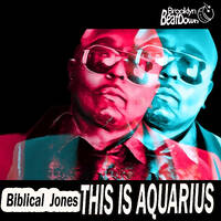 DJ Renay Soulful / Funky House - January 2026 by DJ Renay Soulful House Sessions