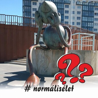 Gabor G&ouml;nd&ouml;r