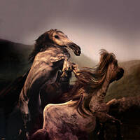 Wake up with Coil by black_ops