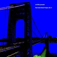 The Erratic Beats Project, Vol. 3 by Designed Beats