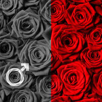 We Two - His Selection by OTSO - On The Shoulders Of