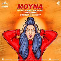 Moyna Chalat Chalat (Remix) - DJ Partha &amp; DJ Cherry by All Indian DJs Drive
