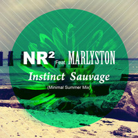 Instinct Sauvage (Minimal Summer Mix) FREE DOWNLOAD by EmmanuelR