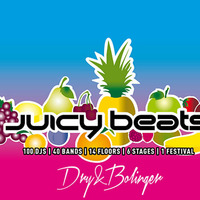 Juicy Beats 2014 Set by Dry & Bolinger by Dry & Bolinger