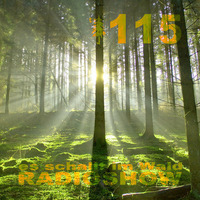 ESIW115 Radioshow Mixed By Cult Jam by Es schallt im Wald