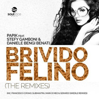 Papik feat. Stefy Gamboni &amp; Bengi - Brivido felino (Submantra cocktail chant remix-Preview by Submantra