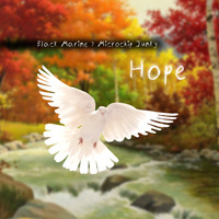 Hope - Black Marine &amp; Microchip Junky by BlackMarine2