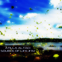 Atilla Altaci - Source Of Life #14 by Atilla Altaci