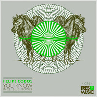 Felipe Cobos -You Know ( Original Mix ) by Felipe Cobos