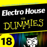 Electro House for Dummies 18 by Kill Yourself