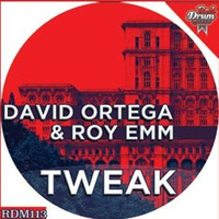 DAVID ORTEGA-ROY EMM- TWEAK EP- PREVIEW