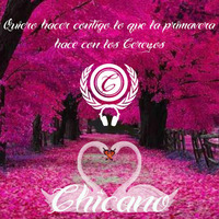 Chicano - Quiero hacer contigo lo que la primavera hace con los Cerezos (Set) by Chicano