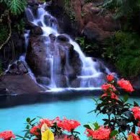 Waterfall Vibes by Juitin