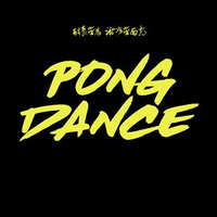 Vigiland Pong Dance Acoustic Version ( Dj Dee  Big Room House Remix) by Teddydee