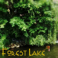 Forest Lake by GoKrause