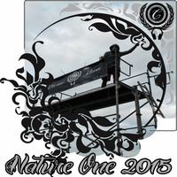 Chicano - Nature One 2015, Chicano-Camp (After Set) by Chicano