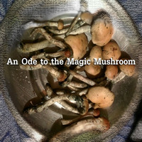 An Ode To The Magic Mushroom by Alan Hamilton