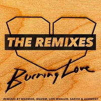 Jesus Loves Electro - Burning Love (Augment Remix) by Jesus Loves Electro