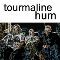 tourmaline hum - Strain HN79 by tourmaline hum