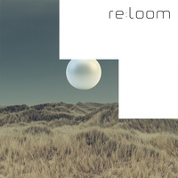 Fly Like A Bird Snippet by re:loom